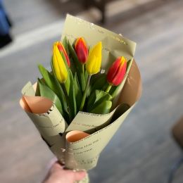 тюльпан 5