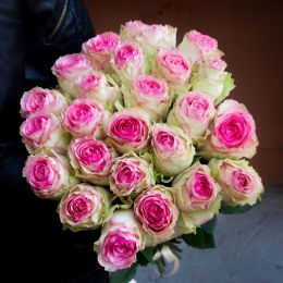 Роза розовая 25