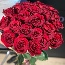 Роза красная 25 моно
