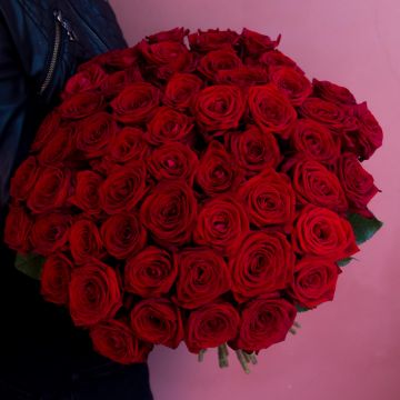 Роза красная 51