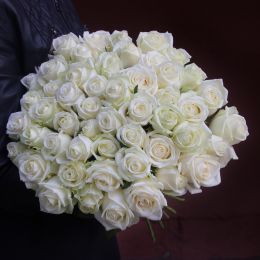 Роза белая 51